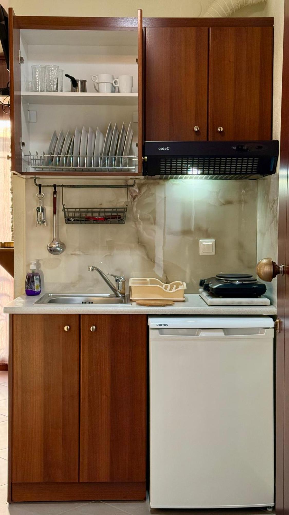 Villa Emmanouela Studios - Family Accommodation Неа-Врасна Экстерьер фото